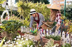 Machinery for garden centres in Ireland